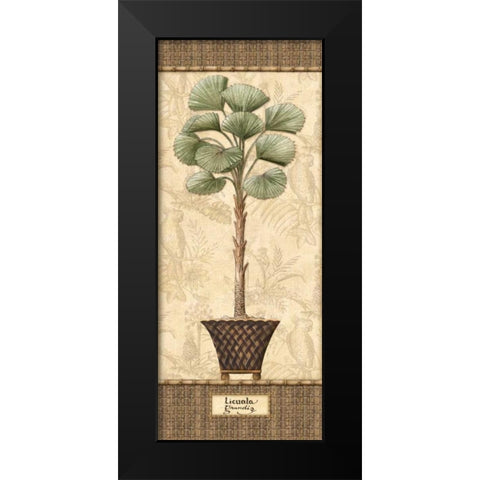 Botanical Palm I Black Modern Wood Framed Art Print by Audrey, Charlene