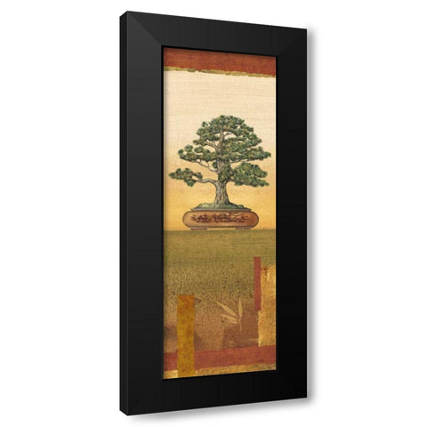Bonsai I Black Modern Wood Framed Art Print with Double Matting by Audrey, Charlene
