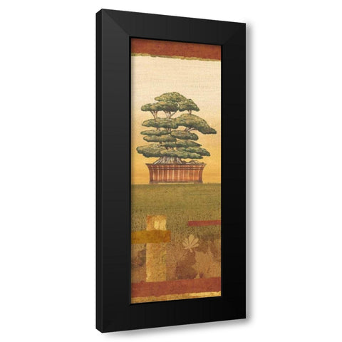 Bonsai II Black Modern Wood Framed Art Print with Double Matting by Audrey, Charlene