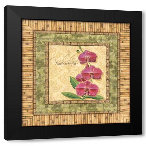 Bright Orchids IV Black Modern Wood Framed Art Print with Double Matting by Audrey, Charlene