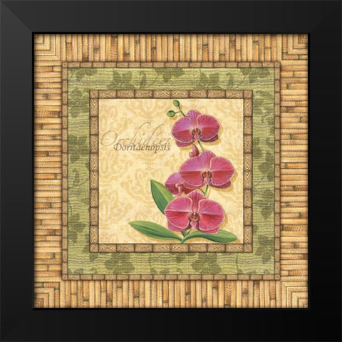 Bright Orchids IV Black Modern Wood Framed Art Print by Audrey, Charlene