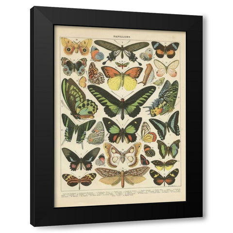 Papillons II Black Modern Wood Framed Art Print with Double Matting by Babbitt, Gwendolyn