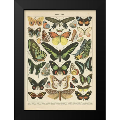 Papillons II Black Modern Wood Framed Art Print by Babbitt, Gwendolyn