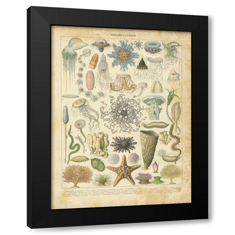 Oceanographie Black Modern Wood Framed Art Print with Double Matting by Babbitt, Gwendolyn