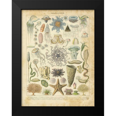 Oceanographie Black Modern Wood Framed Art Print by Babbitt, Gwendolyn