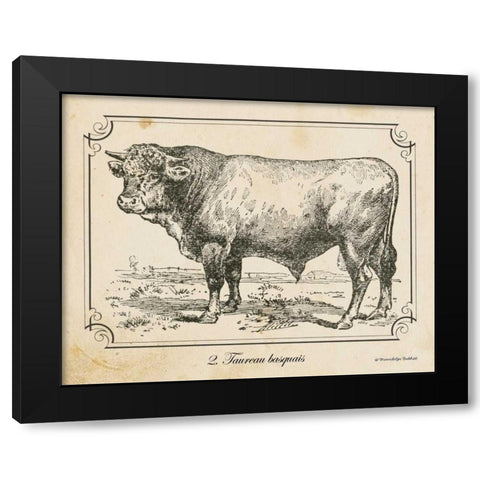 Farm Bull II Black Modern Wood Framed Art Print with Double Matting by Babbitt, Gwendolyn