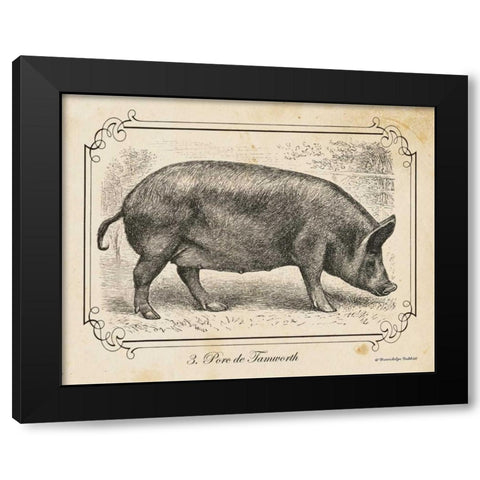 Farm Pig I Black Modern Wood Framed Art Print with Double Matting by Babbitt, Gwendolyn