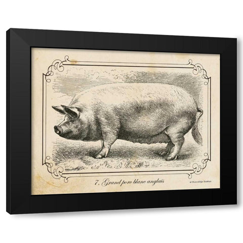 Farm Pig II Black Modern Wood Framed Art Print with Double Matting by Babbitt, Gwendolyn