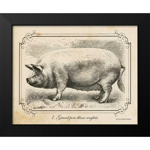 Farm Pig II Black Modern Wood Framed Art Print by Babbitt, Gwendolyn