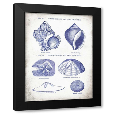 Indigo Shells I Black Modern Wood Framed Art Print with Double Matting by Babbitt, Gwendolyn