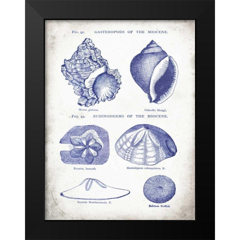 Indigo Shells I Black Modern Wood Framed Art Print by Babbitt, Gwendolyn