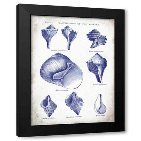 Indigo Shells II Black Modern Wood Framed Art Print with Double Matting by Babbitt, Gwendolyn