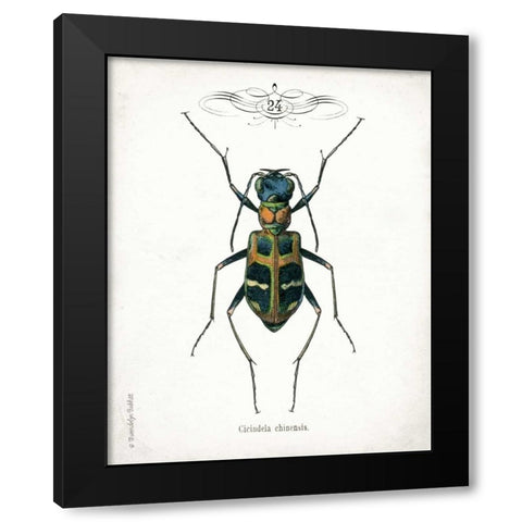 Beetle I Black Modern Wood Framed Art Print by Babbitt, Gwendolyn