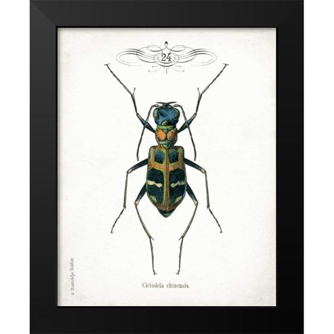 Beetle I Black Modern Wood Framed Art Print by Babbitt, Gwendolyn