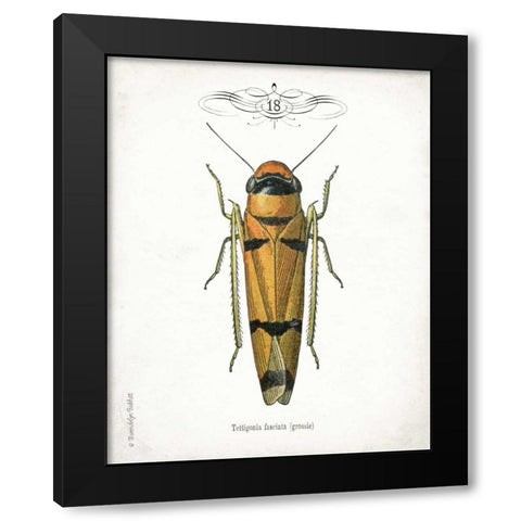 Beetle II Black Modern Wood Framed Art Print with Double Matting by Babbitt, Gwendolyn