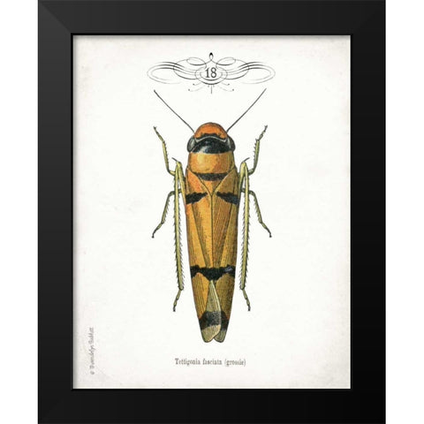 Beetle II Black Modern Wood Framed Art Print by Babbitt, Gwendolyn