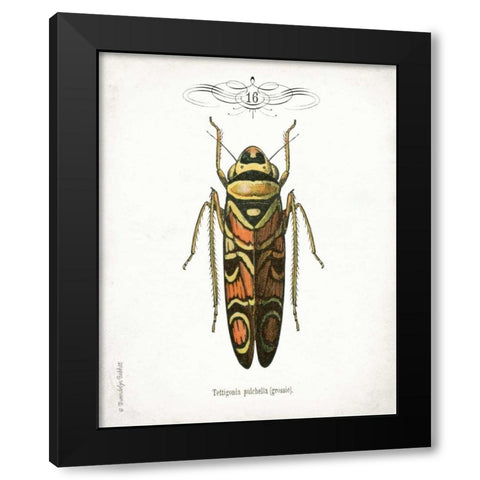 Beetle III Black Modern Wood Framed Art Print by Babbitt, Gwendolyn