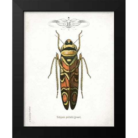 Beetle III Black Modern Wood Framed Art Print by Babbitt, Gwendolyn
