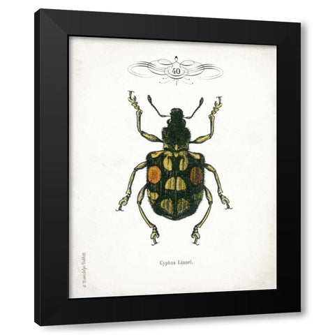 Beetle IV Black Modern Wood Framed Art Print with Double Matting by Babbitt, Gwendolyn