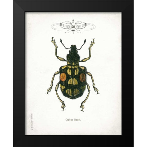 Beetle IV Black Modern Wood Framed Art Print by Babbitt, Gwendolyn