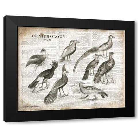 Birds I Black Modern Wood Framed Art Print by Babbitt, Gwendolyn