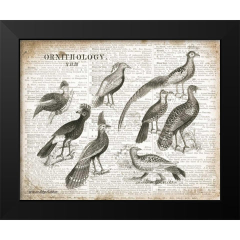 Birds I Black Modern Wood Framed Art Print by Babbitt, Gwendolyn