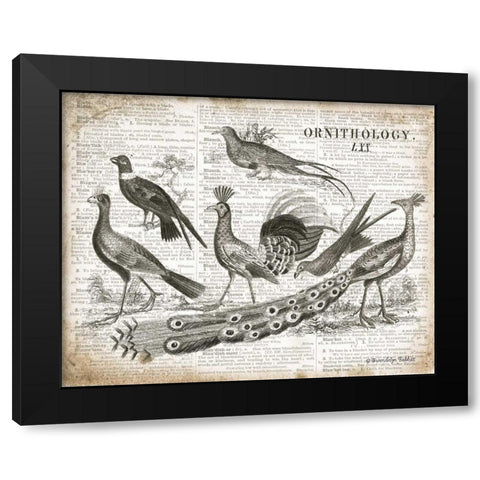 Birds II Black Modern Wood Framed Art Print with Double Matting by Babbitt, Gwendolyn