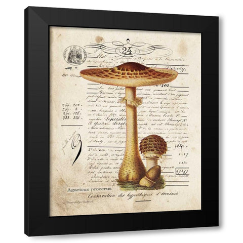 Mushroom I Black Modern Wood Framed Art Print with Double Matting by Babbitt, Gwendolyn