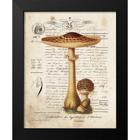 Mushroom I Black Modern Wood Framed Art Print by Babbitt, Gwendolyn