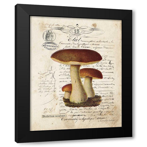Mushroom II Black Modern Wood Framed Art Print by Babbitt, Gwendolyn