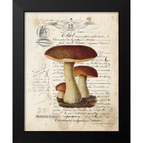 Mushroom II Black Modern Wood Framed Art Print by Babbitt, Gwendolyn
