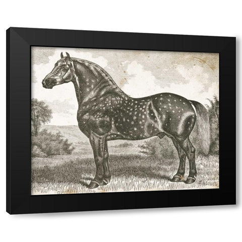 Horse Etching II Black Modern Wood Framed Art Print with Double Matting by Babbitt, Gwendolyn