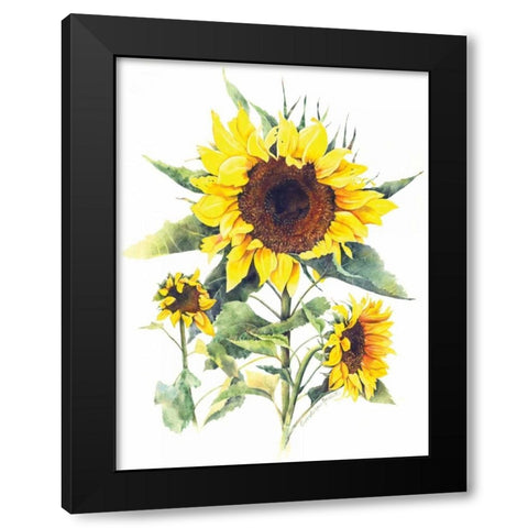 Sunflowers Black Modern Wood Framed Art Print with Double Matting by Babbitt, Gwendolyn