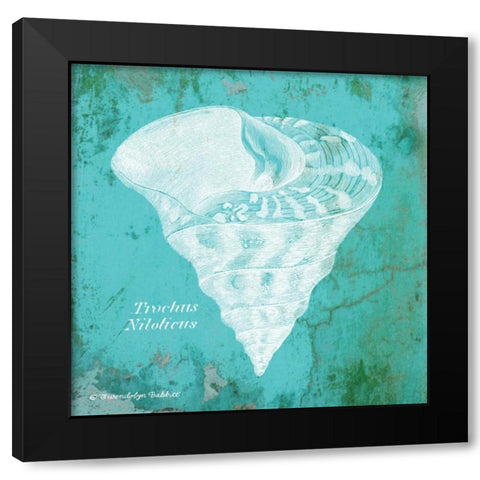 Caribbean Shell I Black Modern Wood Framed Art Print by Babbitt, Gwendolyn