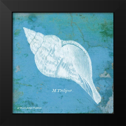 Caribbean Shell II Black Modern Wood Framed Art Print by Babbitt, Gwendolyn