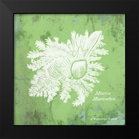 Caribbean Shell IV Black Modern Wood Framed Art Print by Babbitt, Gwendolyn