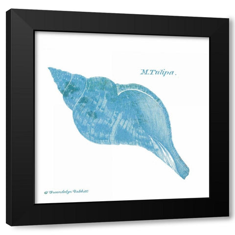 Shell on White II Black Modern Wood Framed Art Print with Double Matting by Babbitt, Gwendolyn