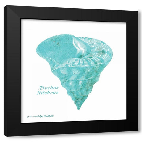 Shell on White III Black Modern Wood Framed Art Print by Babbitt, Gwendolyn