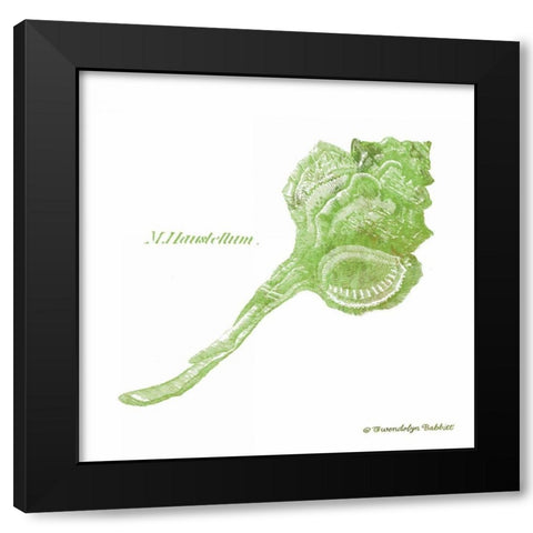 Shell on White IV Black Modern Wood Framed Art Print with Double Matting by Babbitt, Gwendolyn