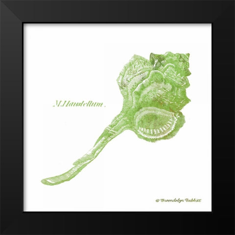 Shell on White IV Black Modern Wood Framed Art Print by Babbitt, Gwendolyn