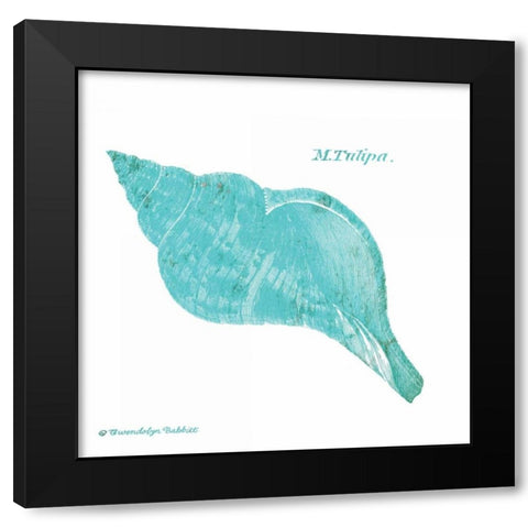 Shell on White V Black Modern Wood Framed Art Print with Double Matting by Babbitt, Gwendolyn
