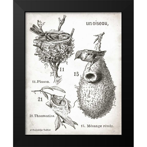French Birdnests Black Modern Wood Framed Art Print by Babbitt, Gwendolyn