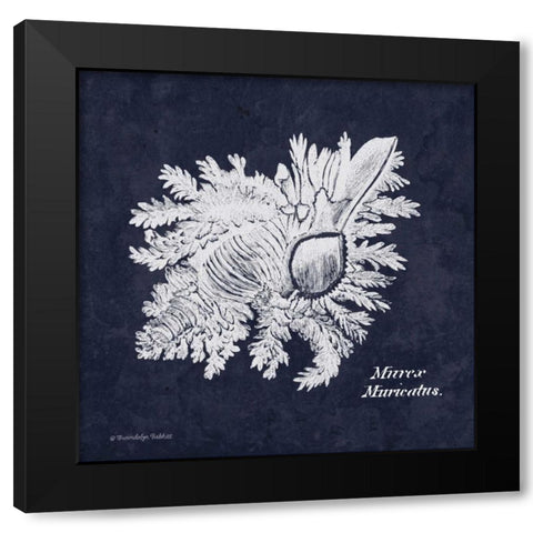Indigo Shell I Black Modern Wood Framed Art Print with Double Matting by Babbitt, Gwendolyn