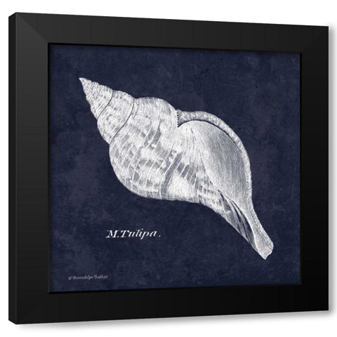 Indigo Shell III Black Modern Wood Framed Art Print by Babbitt, Gwendolyn