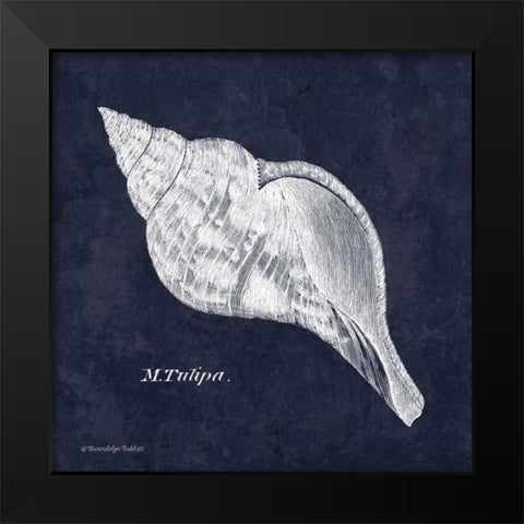 Indigo Shell III Black Modern Wood Framed Art Print by Babbitt, Gwendolyn