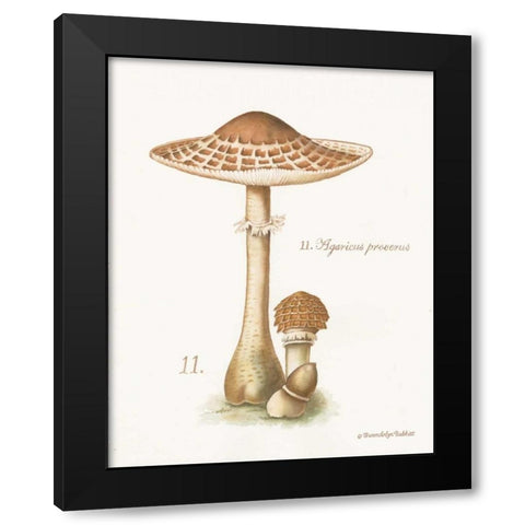 Mushroom I Black Modern Wood Framed Art Print by Babbitt, Gwendolyn