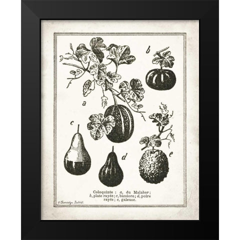 French Gourds Black Modern Wood Framed Art Print by Babbitt, Gwendolyn