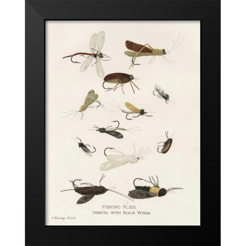 Fishing Flies I Black Modern Wood Framed Art Print by Babbitt, Gwendolyn