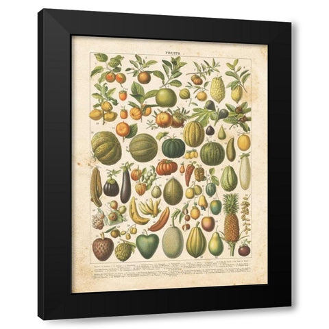 French Fruit Chart Black Modern Wood Framed Art Print with Double Matting by Babbitt, Gwendolyn