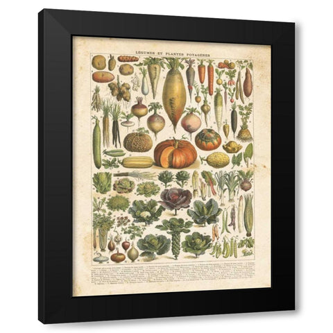 French Vegetable Chart Black Modern Wood Framed Art Print with Double Matting by Babbitt, Gwendolyn